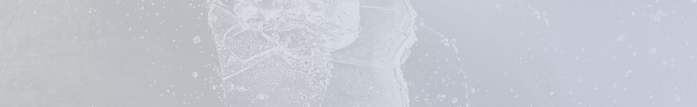 plpBackgroundgImg