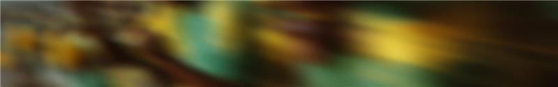 plpBackgroundgImg